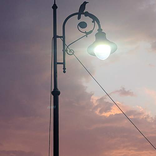 Photo #13687673