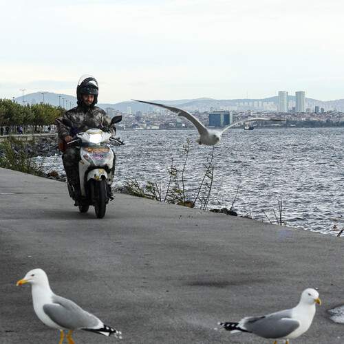 Photo #13687686