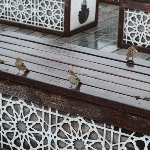 Photo #13687687