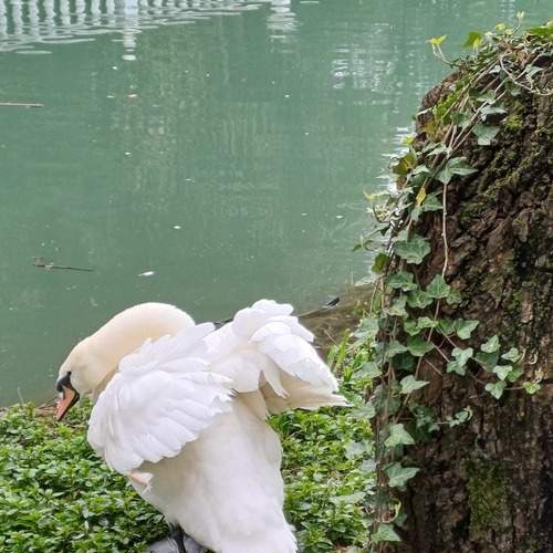 Photo #13687696