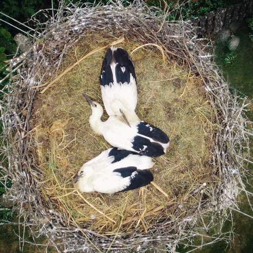 Photo #13687714