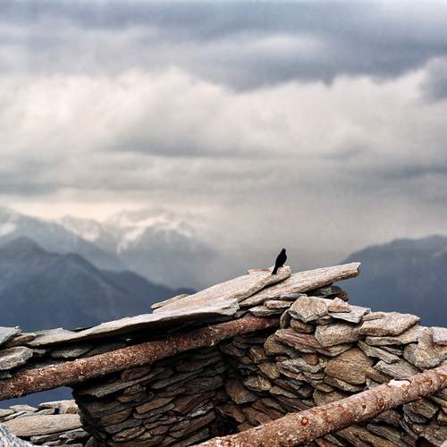 Photo #13687777