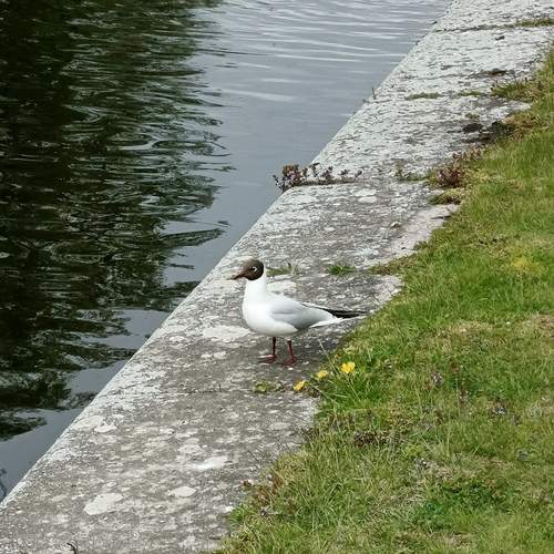 Photo #13687790