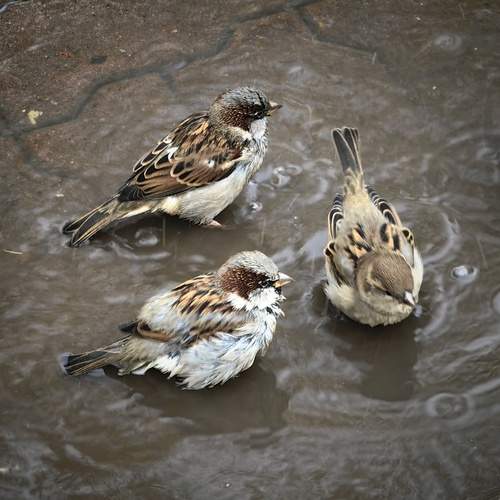 Photo #13687806
