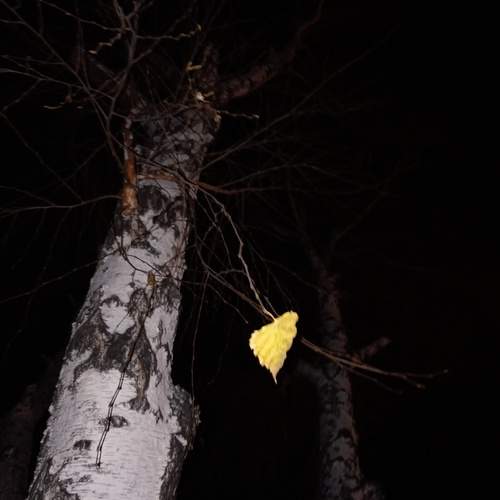 Photo #13687825