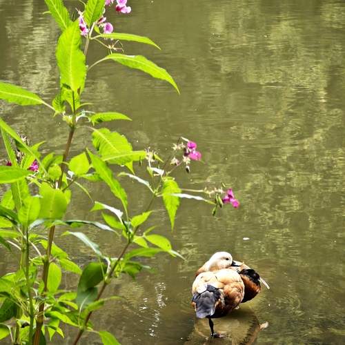 Photo #13687849
