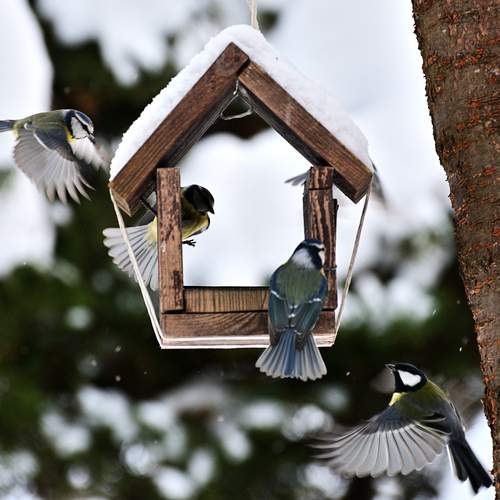 Photo #13687852