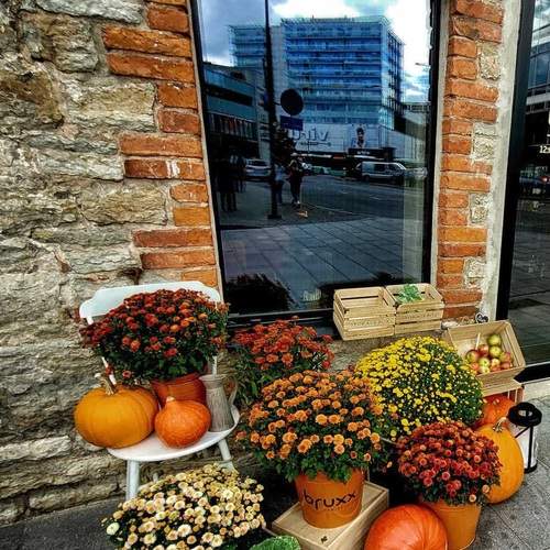 Photo #13687876