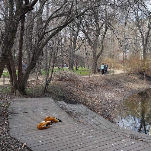 Photo #13687890