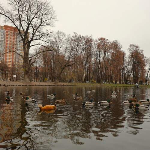 Photo #13687892