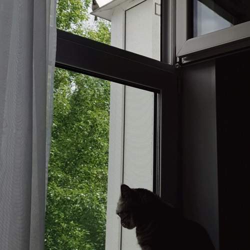 Photo #13687924