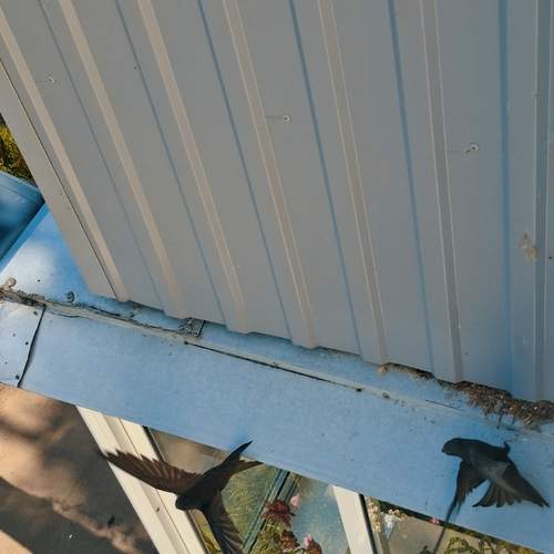 Photo #13687942