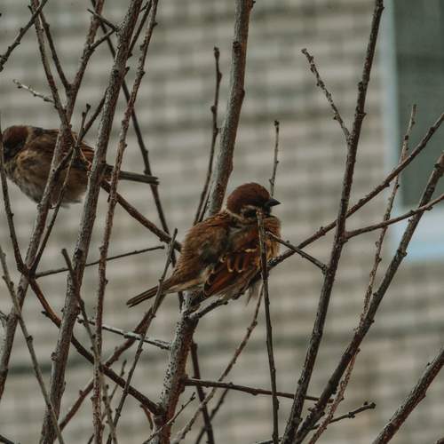 Photo #13687944