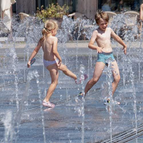 Photo #13687954