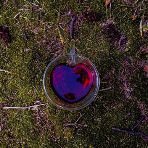 Photo #13687964