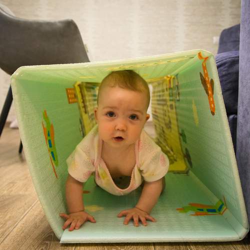Photo #13687981