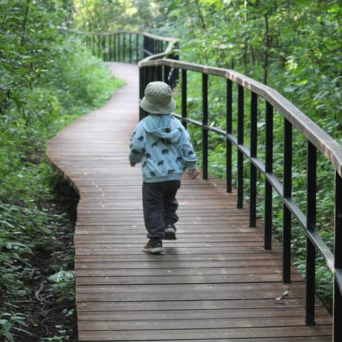 Photo #13688015