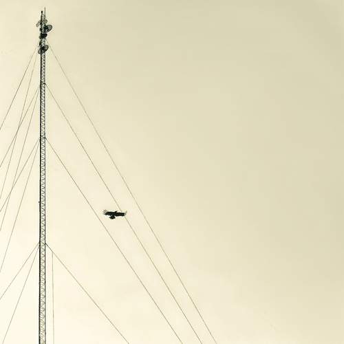 Photo #13688022