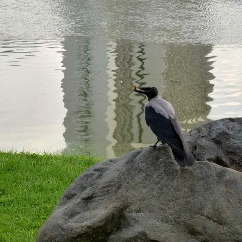 Photo #13688046