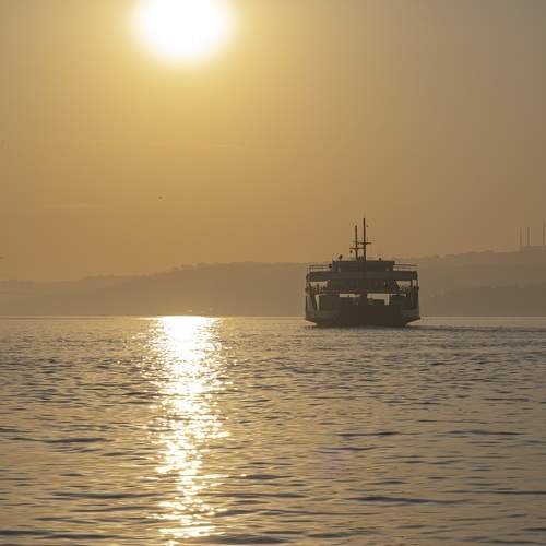 Photo #13688057