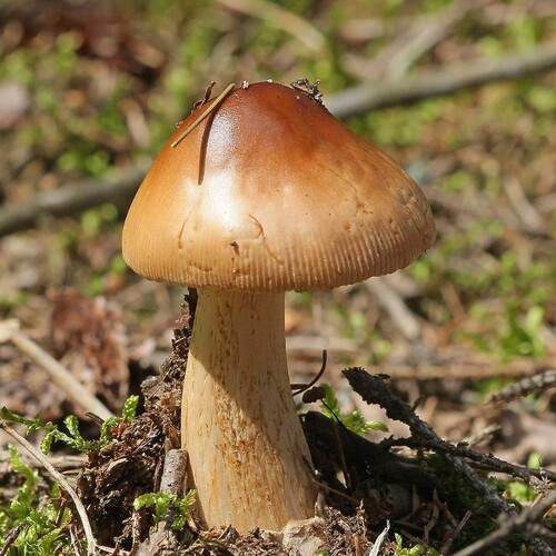 Photo #13688113