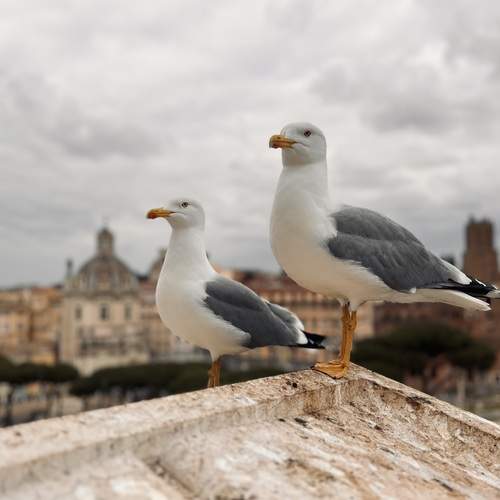 Photo #13688119