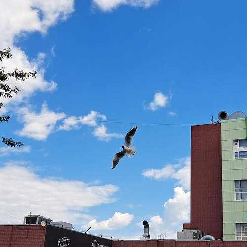 Photo #13688134