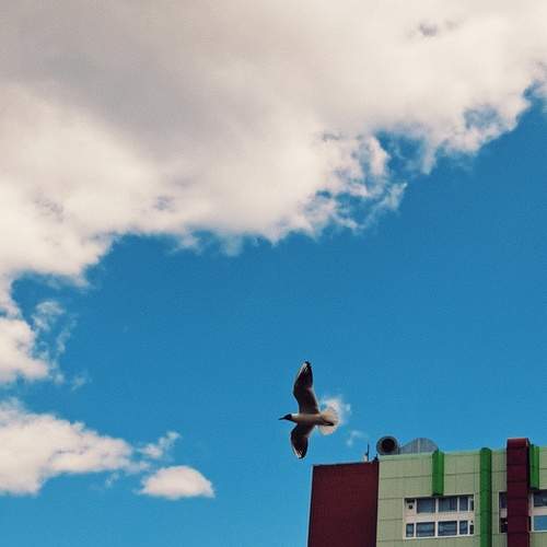 Photo #13688136