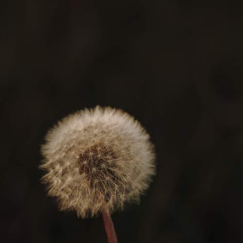 Photo #13688222