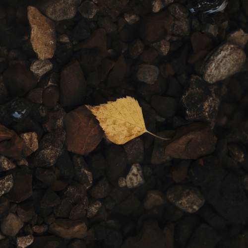Photo #13688223