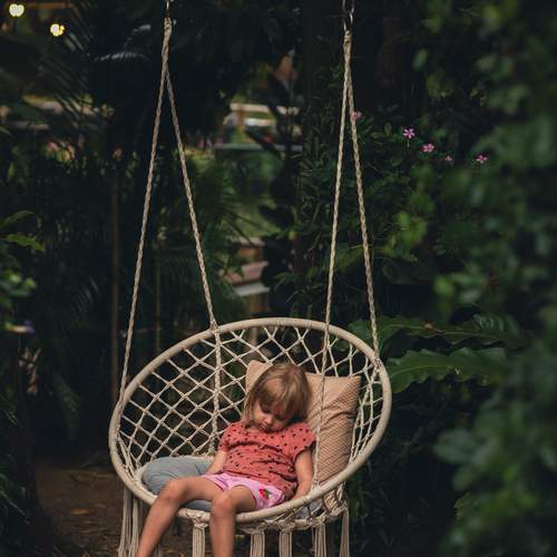 Photo #13688241