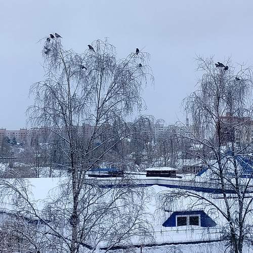 Photo #13688307