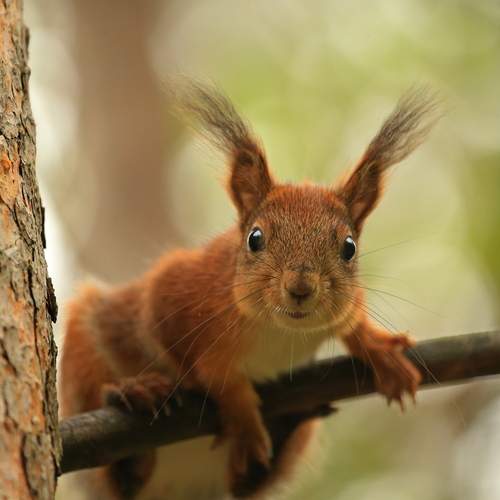 Photo #13688501
