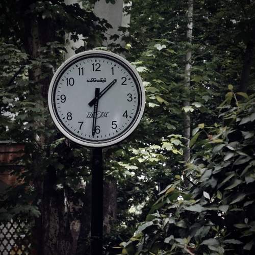 Photo #13688521