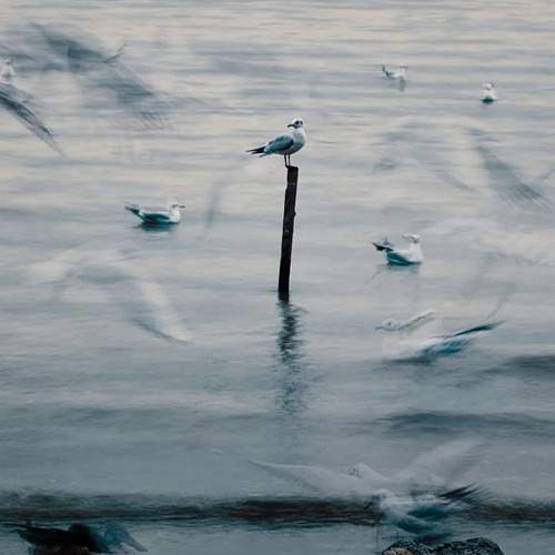 Stillness