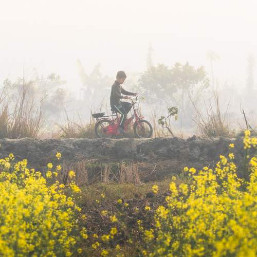 Photo #13688570
