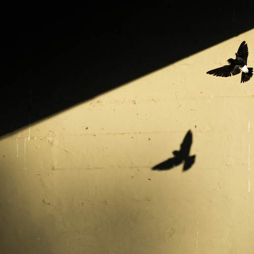 Photo #13688574