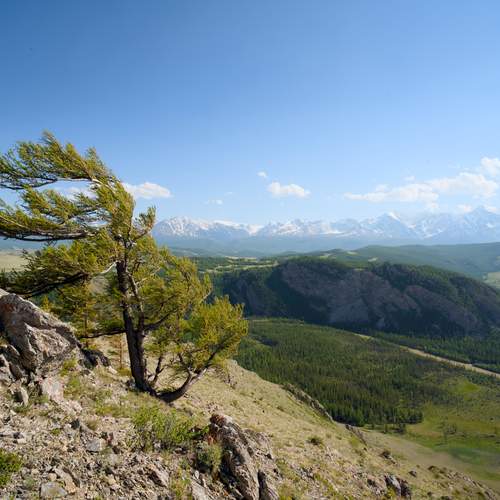 Photo #13688594