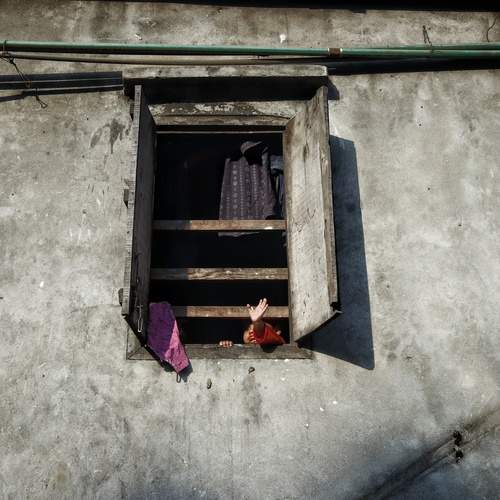 Photo #13688595