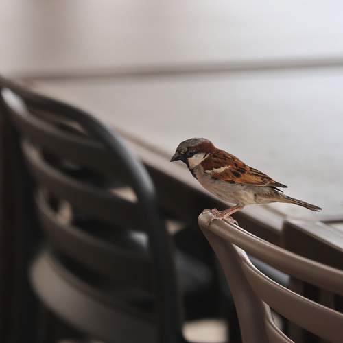 Photo #13688603
