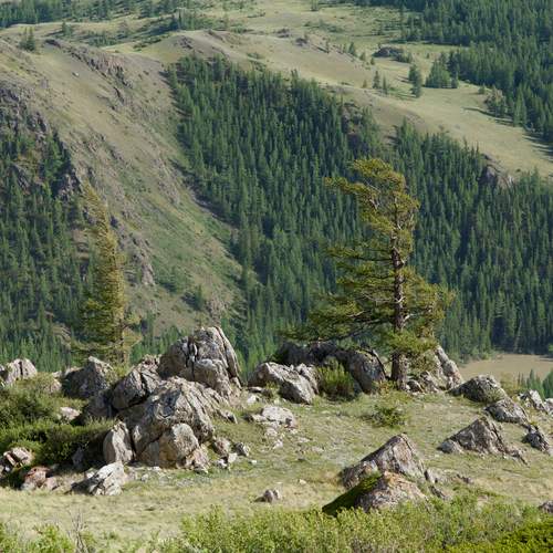 Photo #13688614