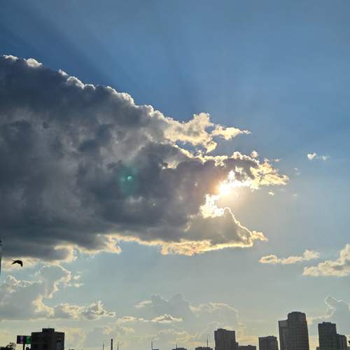 Photo #13688617
