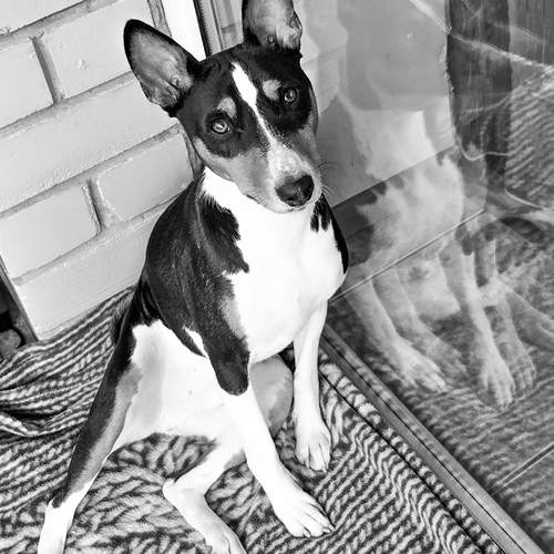 Photo #13688621