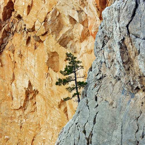Photo #13688648