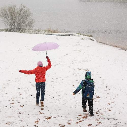 Photo #13688655