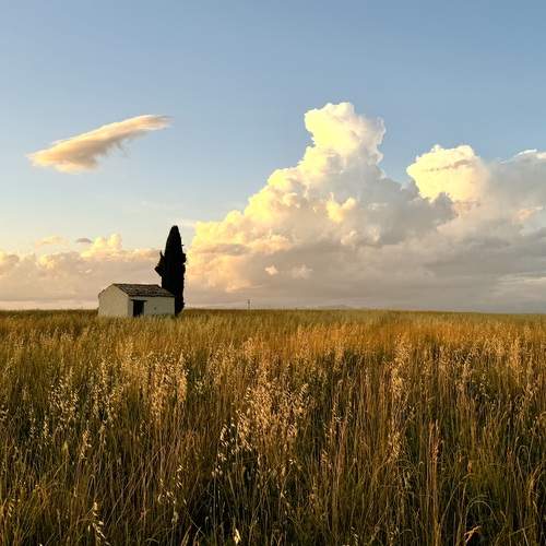 Photo #13688660