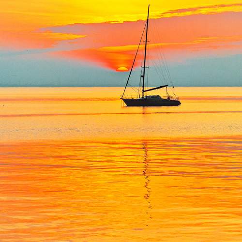 Photo #13688693