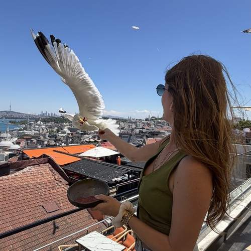 Photo #13688698