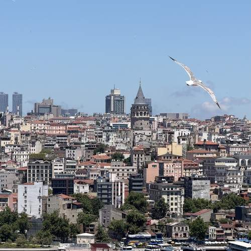 Photo #13688699