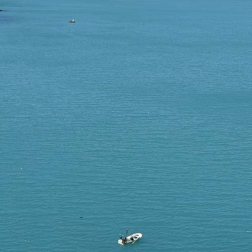 Photo #13688715